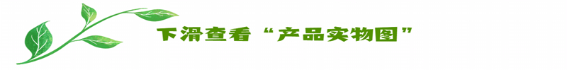 Honeywell-霍尼韋爾 51309154125 數字量模塊